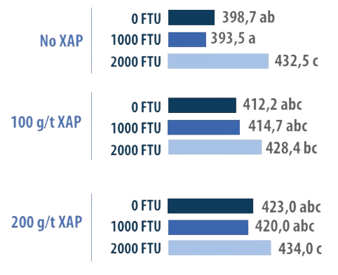 IFF Formulación