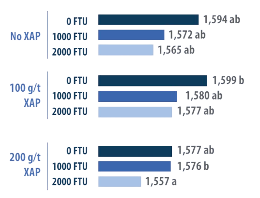 IFF Formulación