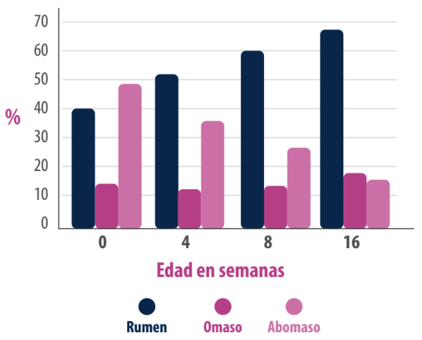 destete rumiantes