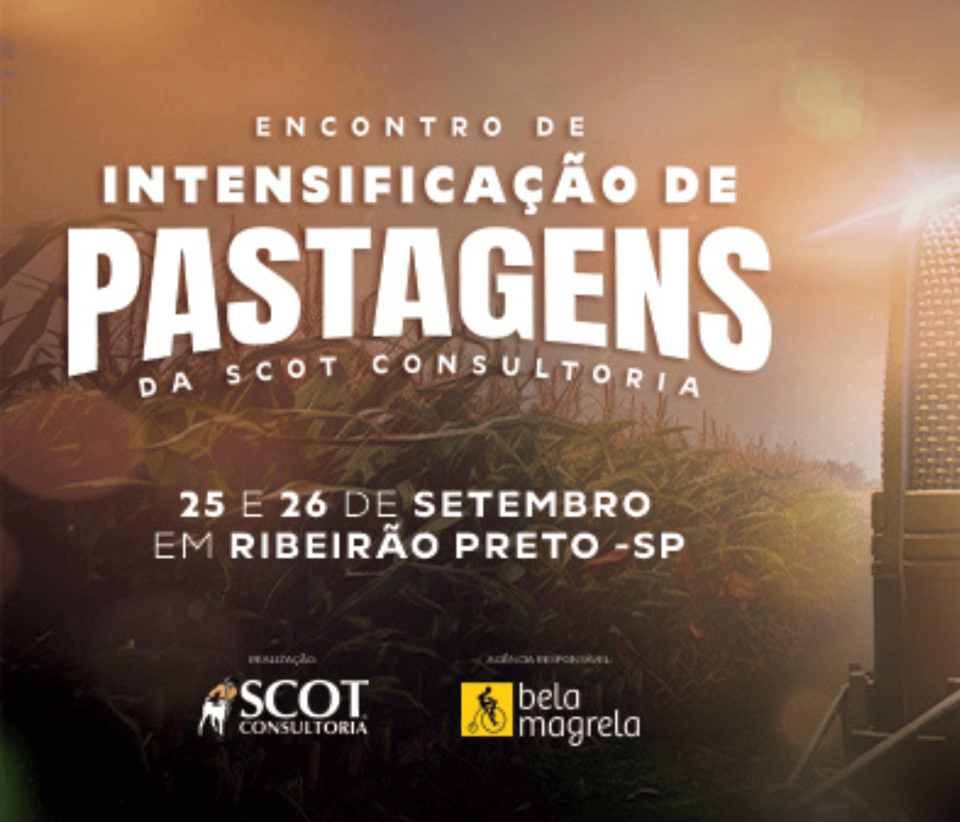 Encontro de Intensificação de Pastagens: sintonize seu conhecimento