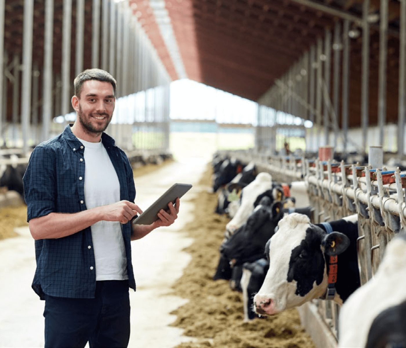 Insights globais sobre produção animal em fazendas da América Latina