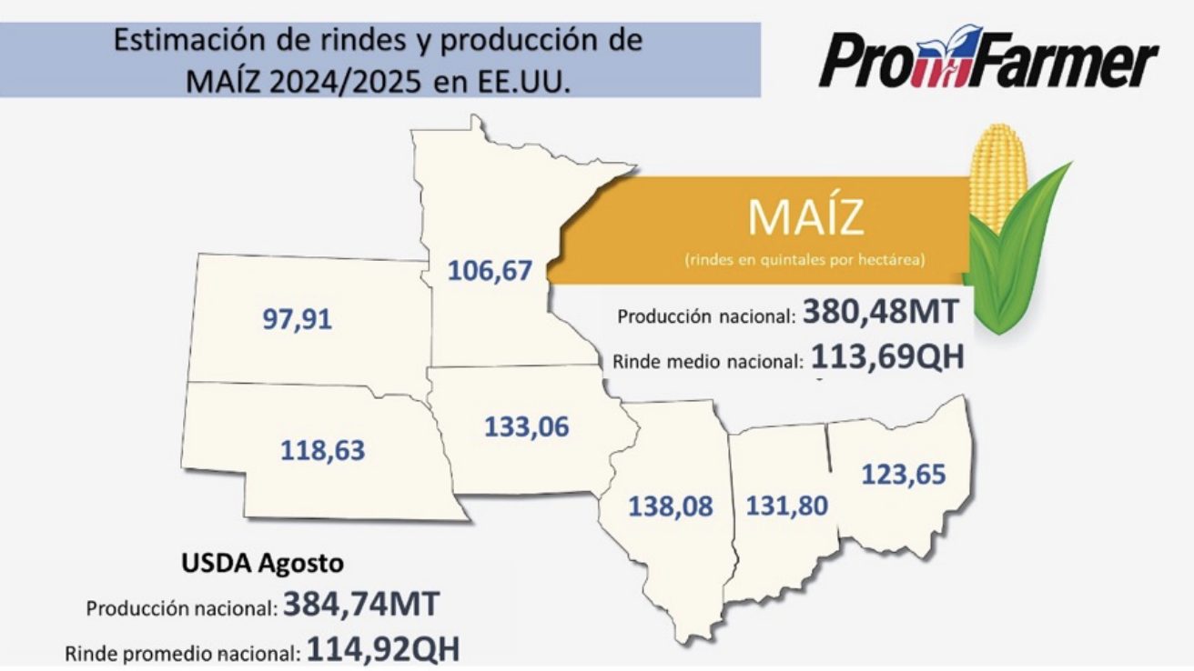 granos materias primas