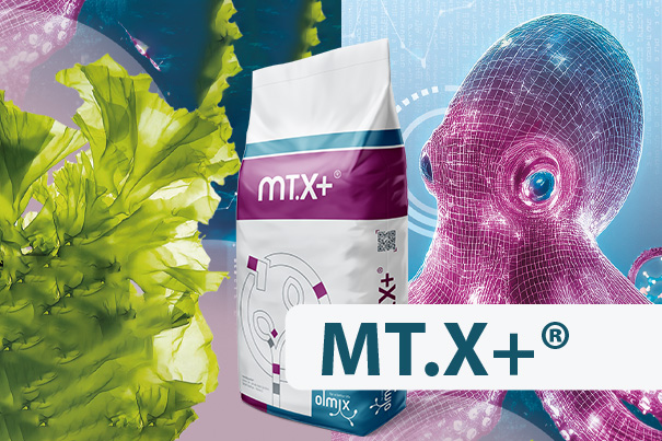 MT.X+ ®