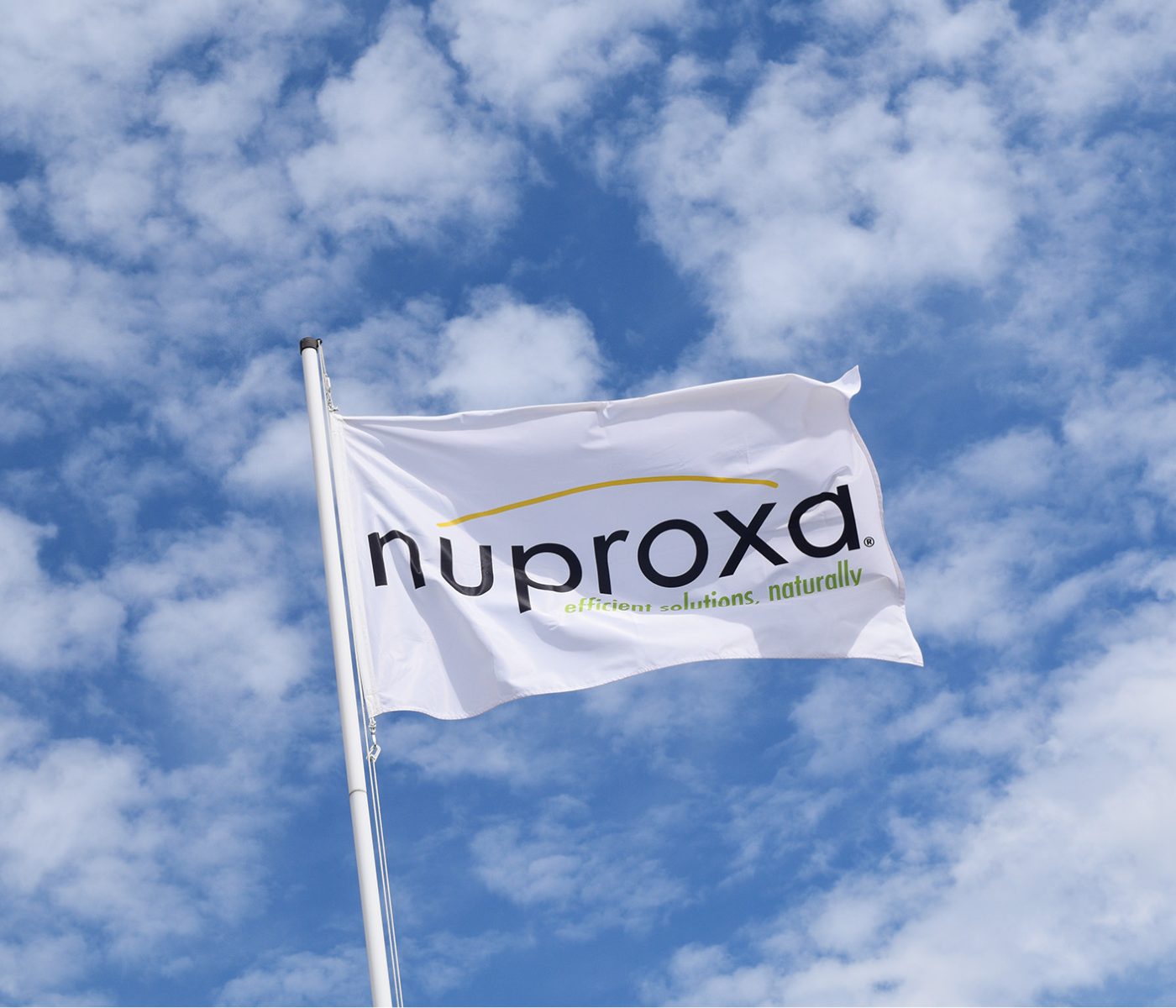 Nuproxa fortalece su presencia en el mercado español