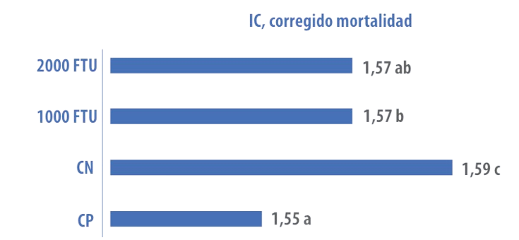 IFF Formulación