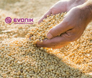 evonik-variabilidade-materias-primas