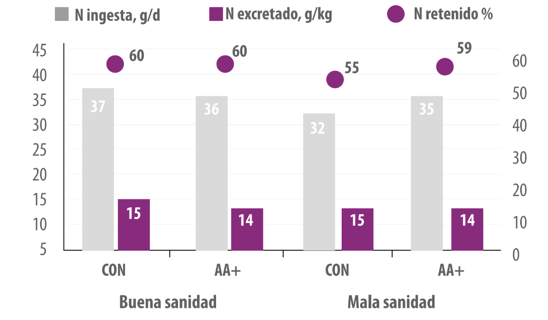 aminoácidos