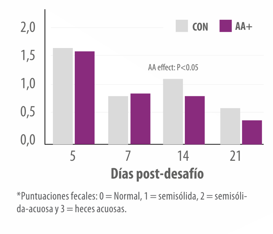 aminoácidos