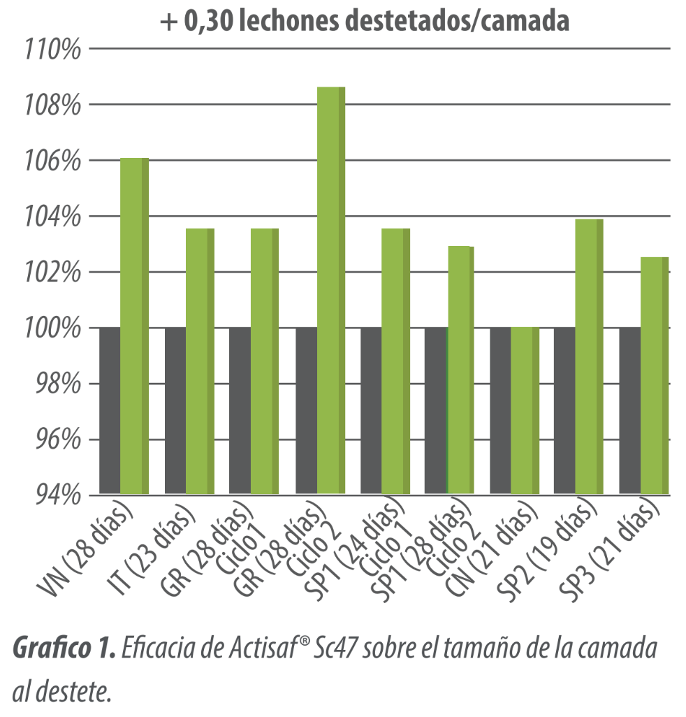 probióticos