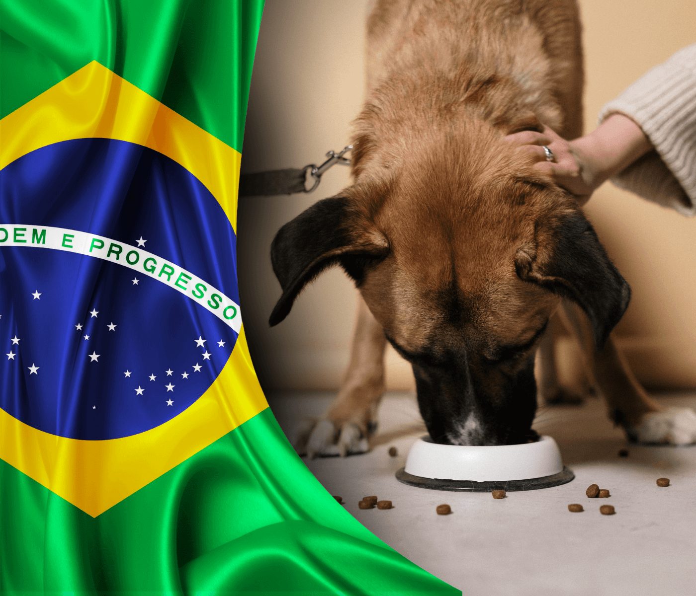 Mercado Pet brasileiro deve chegar aos R$ 77,3 bilhões de faturamento