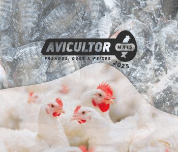 avicultor-proteina-animal-destaque