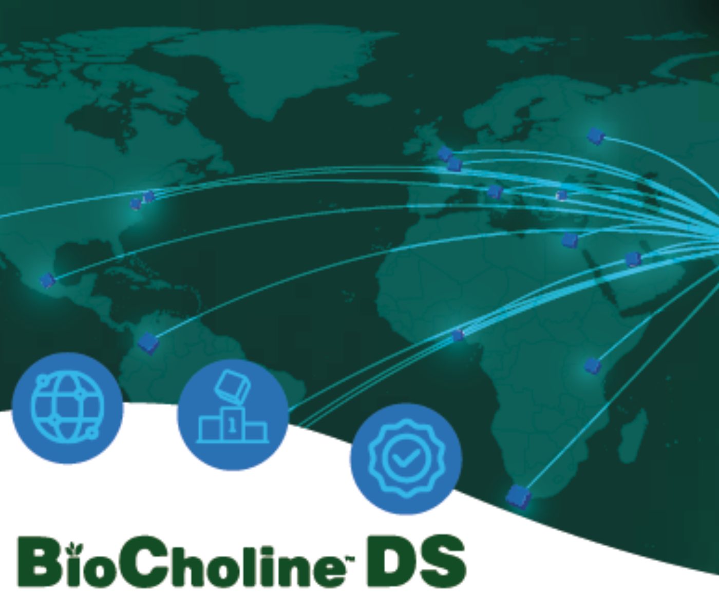 BioCholine ™ DS: Inovação e Sustentabilidade no Seu Máximo Potencial