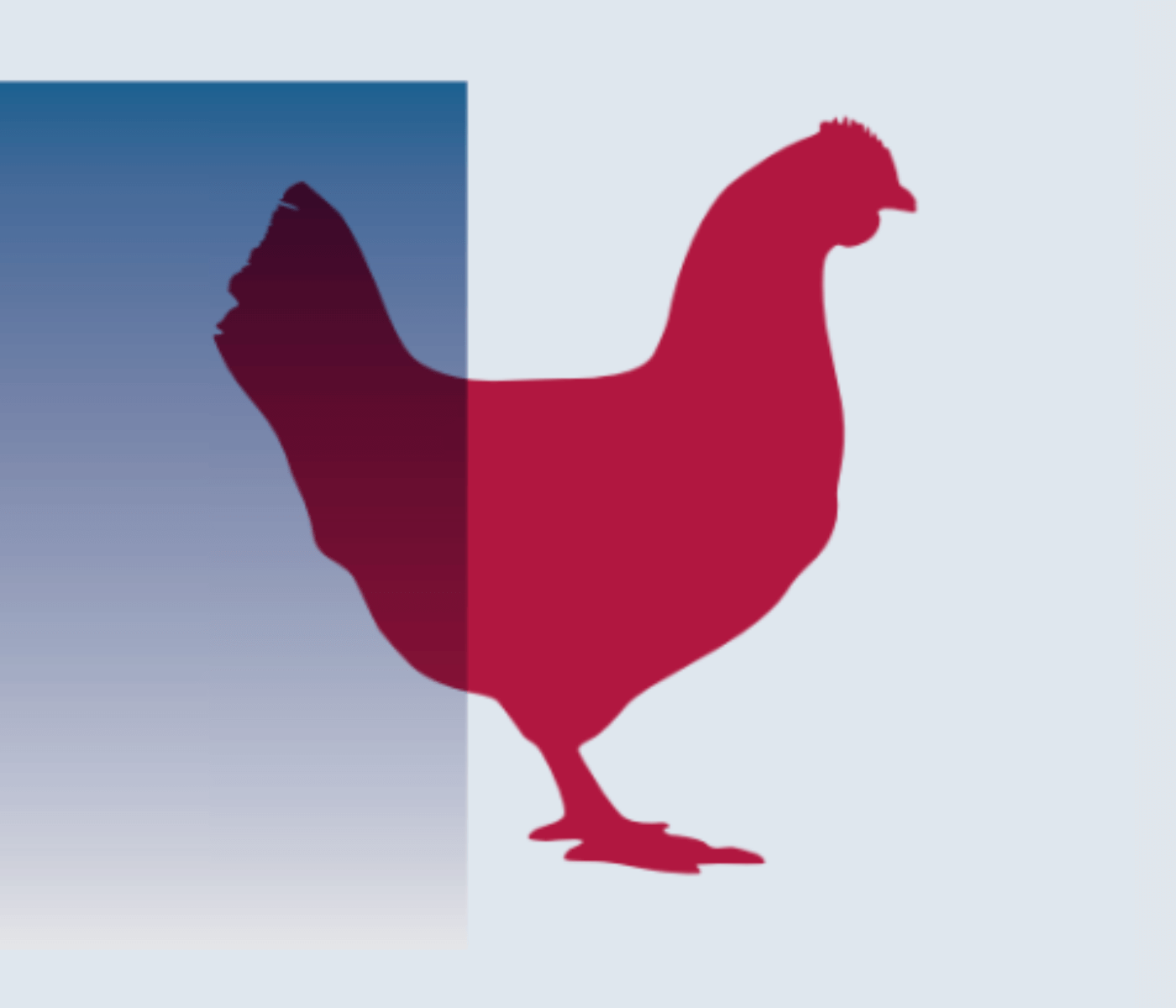 CELMANAX SUPPLEMENTATION IN BROILER BREEDERS AND BROILERS