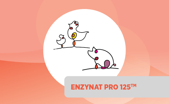 ENZYNAT PRO 125