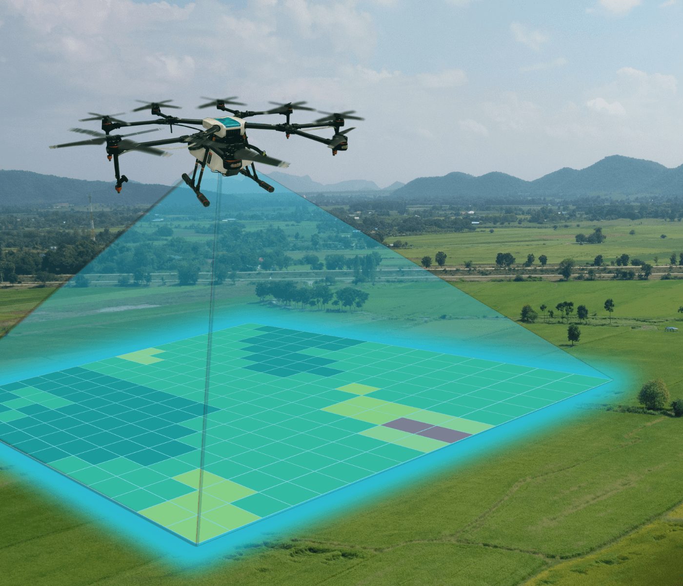 Monitoramento do solo garante diagnóstico preciso e manejo sustentável