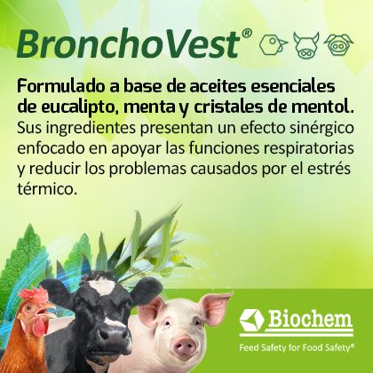 Robapáginas Biochem latam