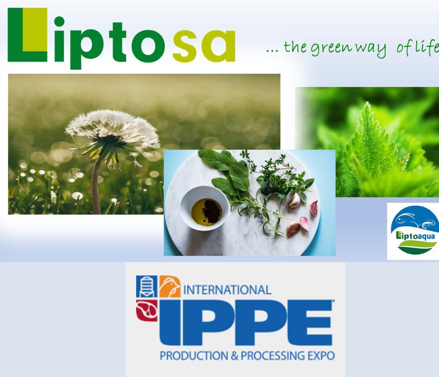 Liptosa is ready for IPPE 2025