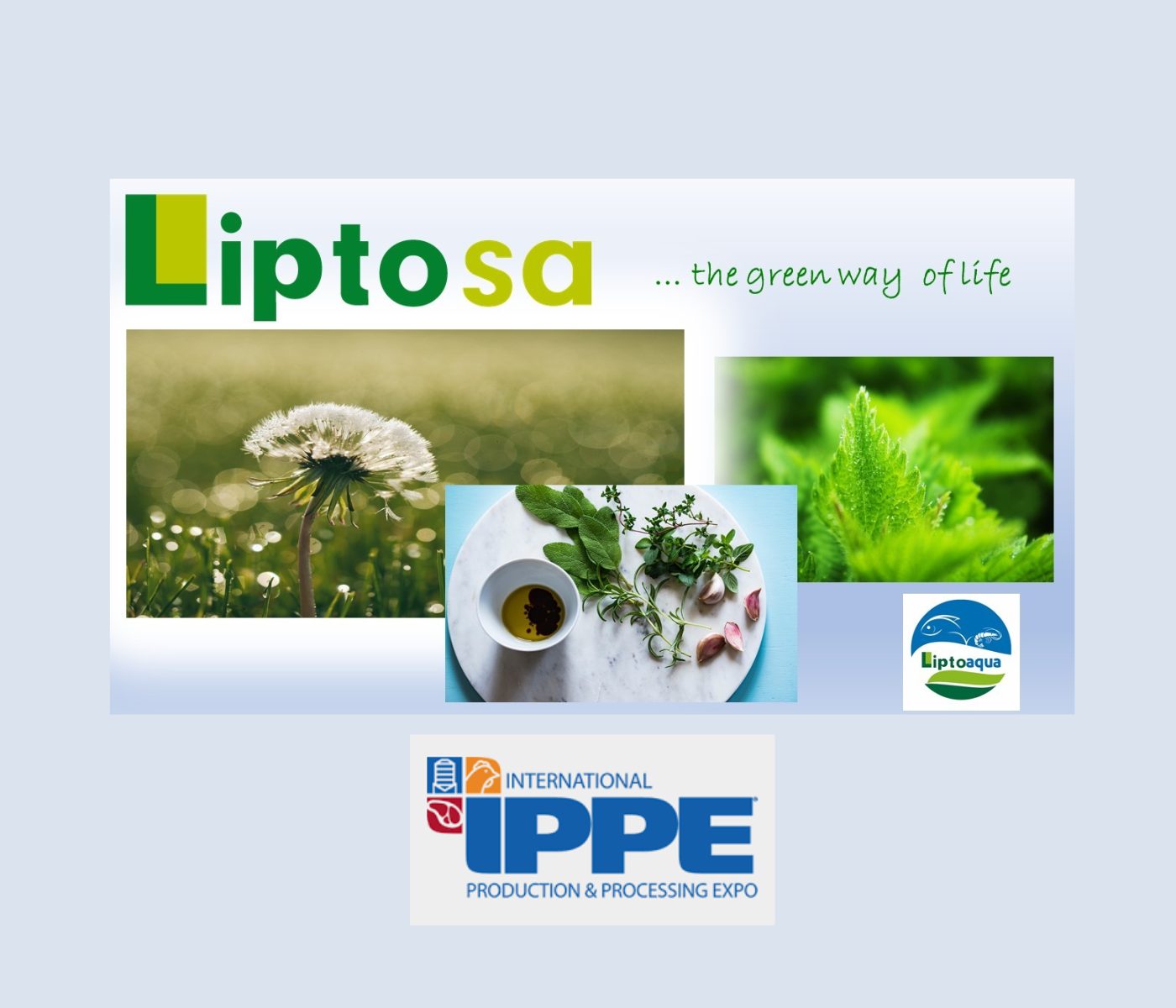 Liptosa is ready for IPPE 2025