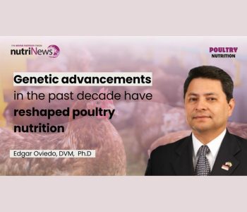 Insights on the 10th Revised Poultry Nutrient Requirements: Dr. Edgar Oviedo