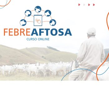 febre-aftosa-curso-destaque