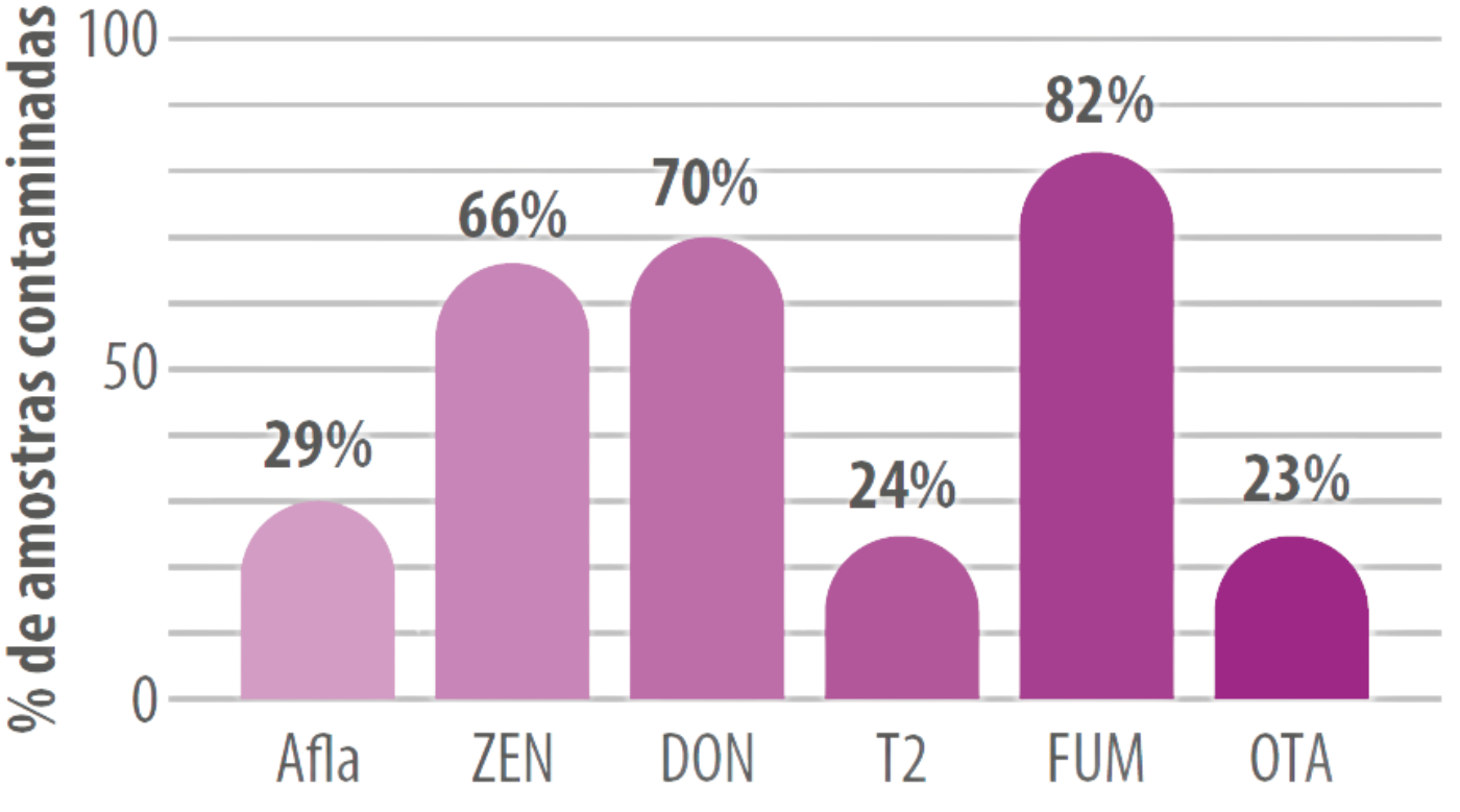 figura-2-dsm-micotoxinas