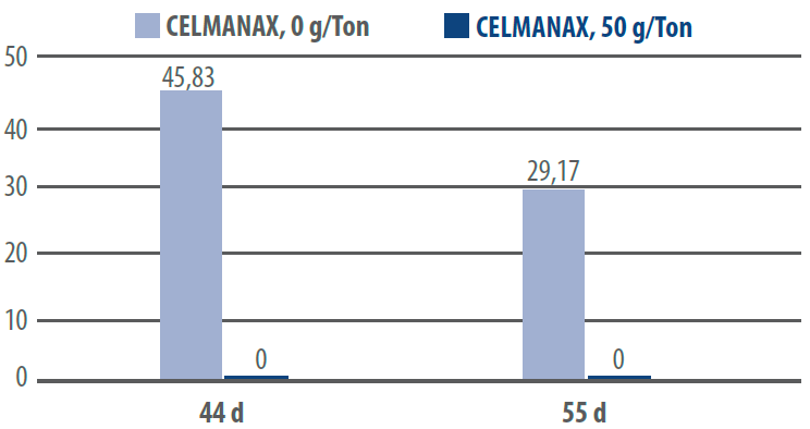 salmonella-celmanax