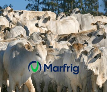 marfrig-carne-bovina-ranking-destaque