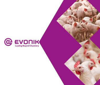 perspectivas-otimistas-evonik-destaque