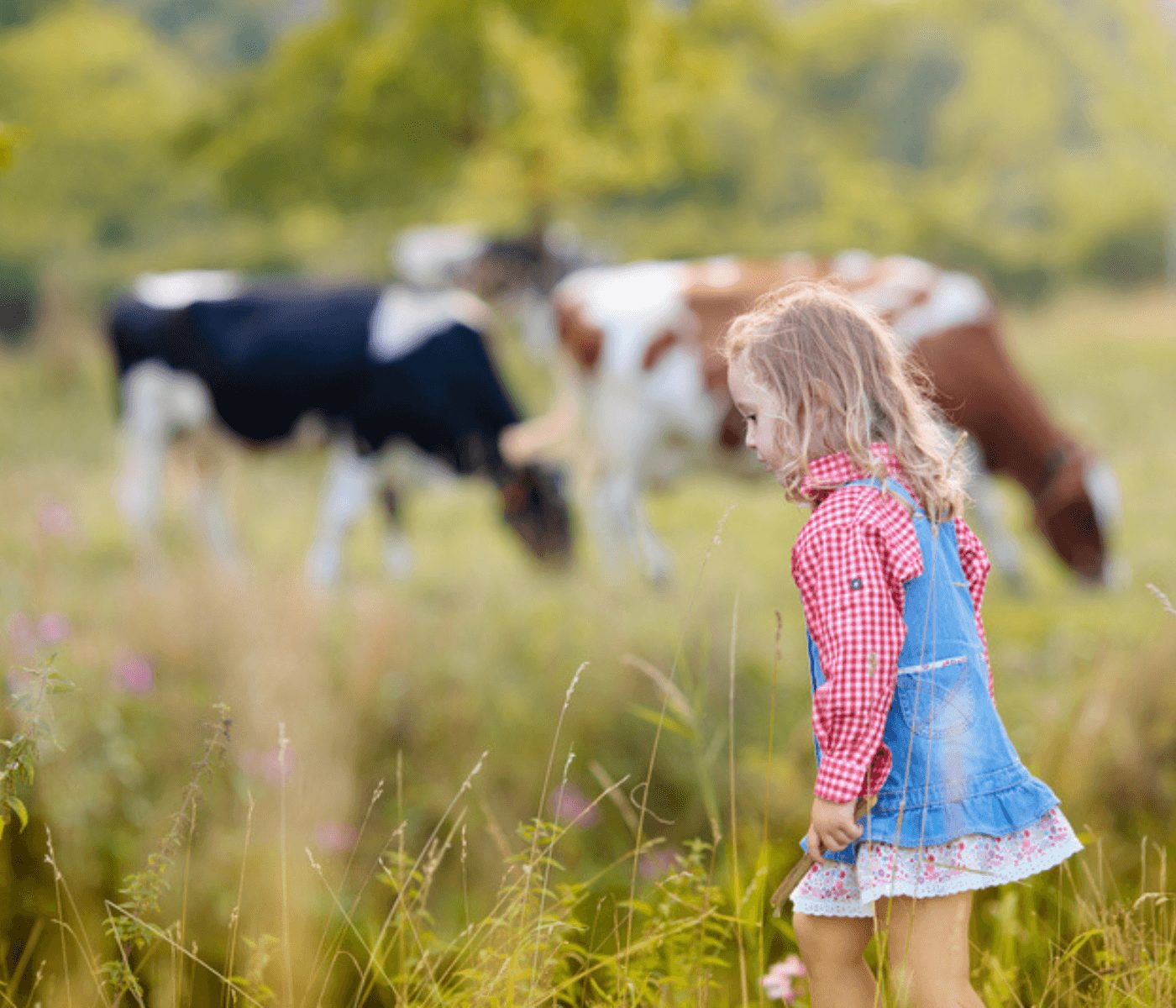 Sector agrario español busca afianzar el papel de mujeres y jóvenes