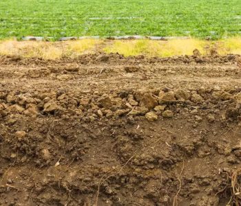 Technological Advances in Soil Monitoring & Sustainable Management