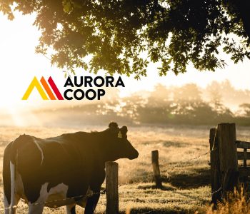 aurora-coop-bem-estar-animal-destaque