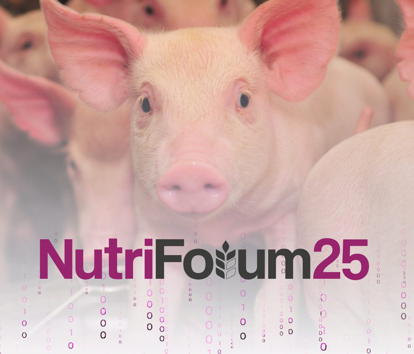 Nutrición porcina e innovaciones tecnológicas en nutriForum 2025