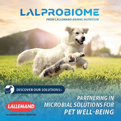 lallemandanimalnutrition eng