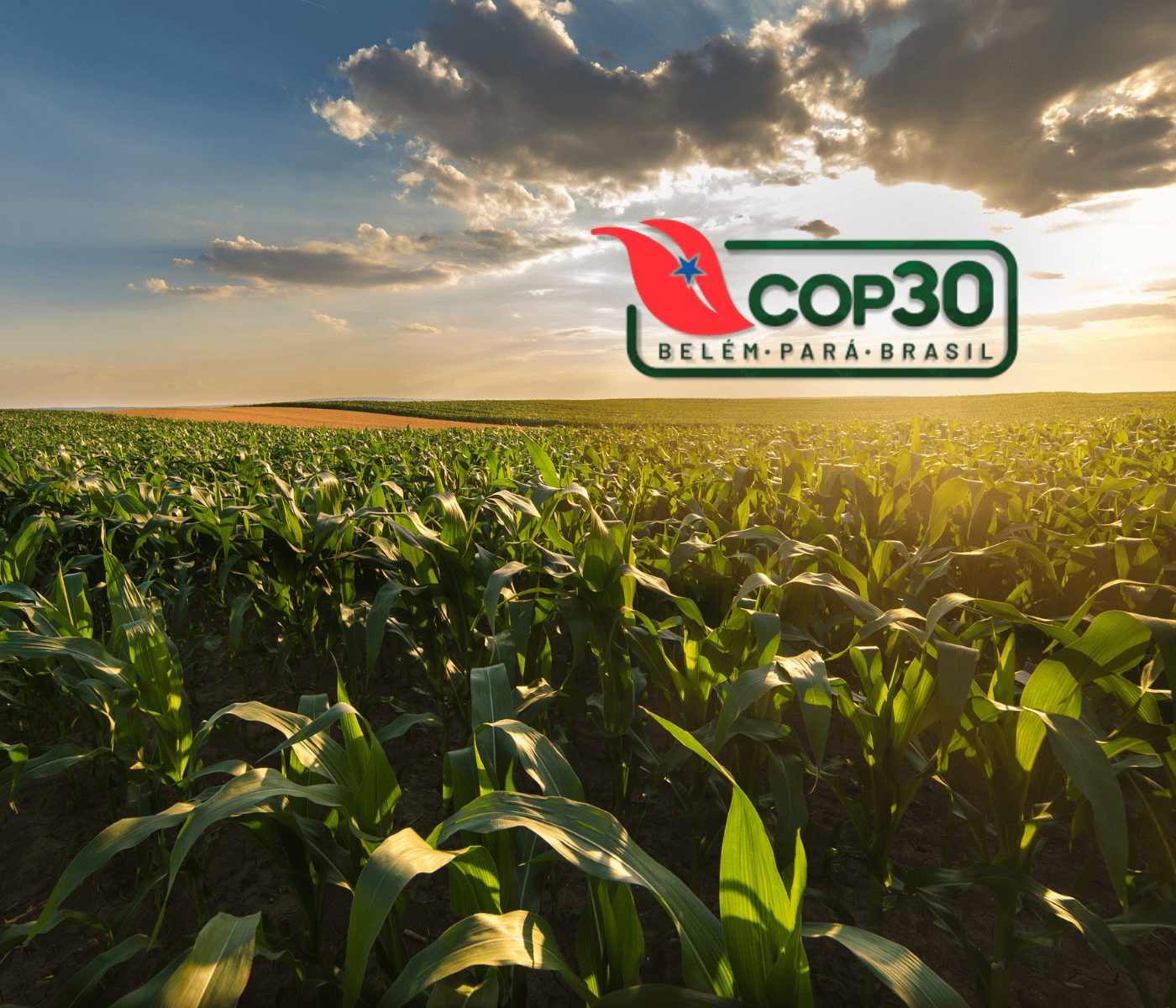 O agro na COP30