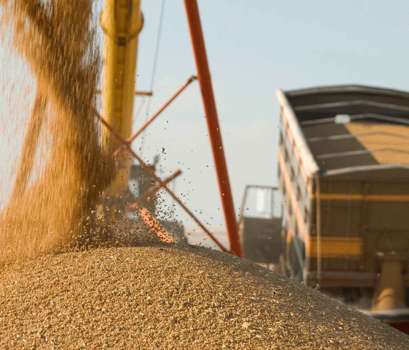 Armazenagem é um dos gargalos da produção de grãos