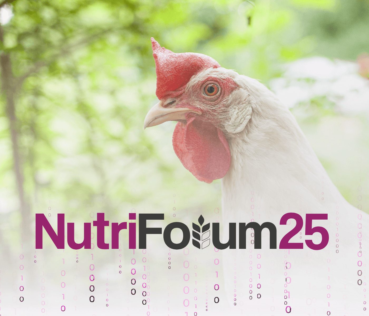 nutriForum 2025 trae nutrición avícola diferencial