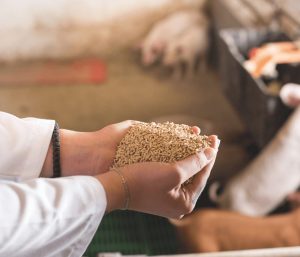Vetia Natural Solutions: Entrevista a Javier Ferrer Arizmendi