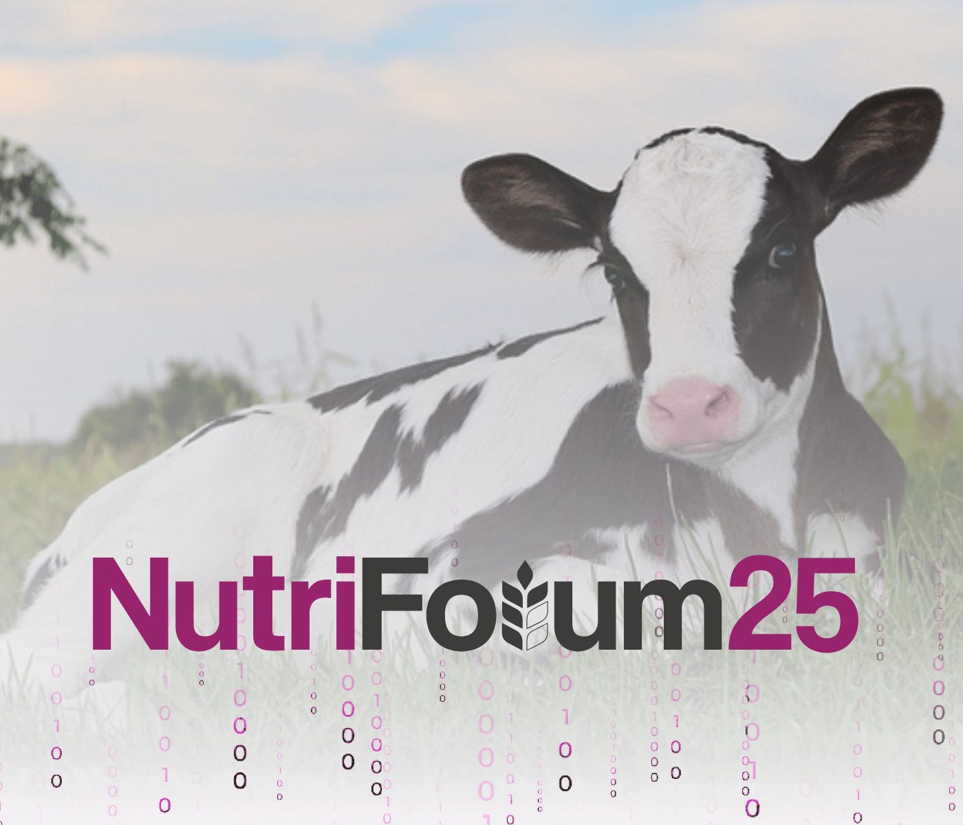 Nutrición de rumiantes e IA: solo en nutriForum 2025