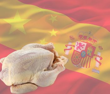 España refuerza la exportación de carne de ave a China con nuevo protocolo