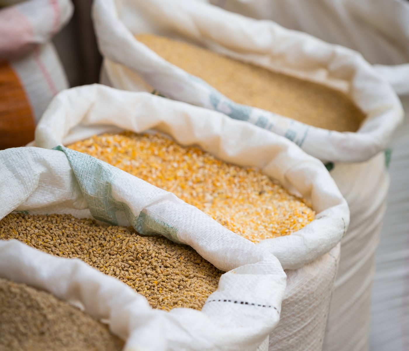 Consulta pública para actualizar normativa de alimentación animal en España