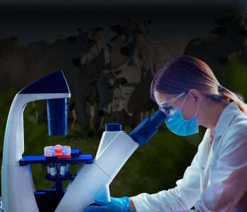 biotec-bem-estar-animal-destaque