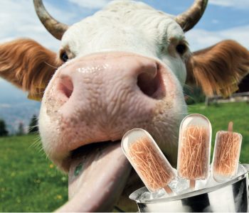 estres calor