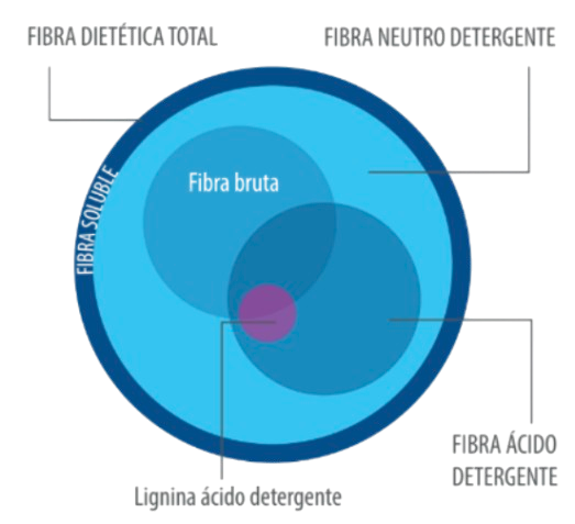 fibra