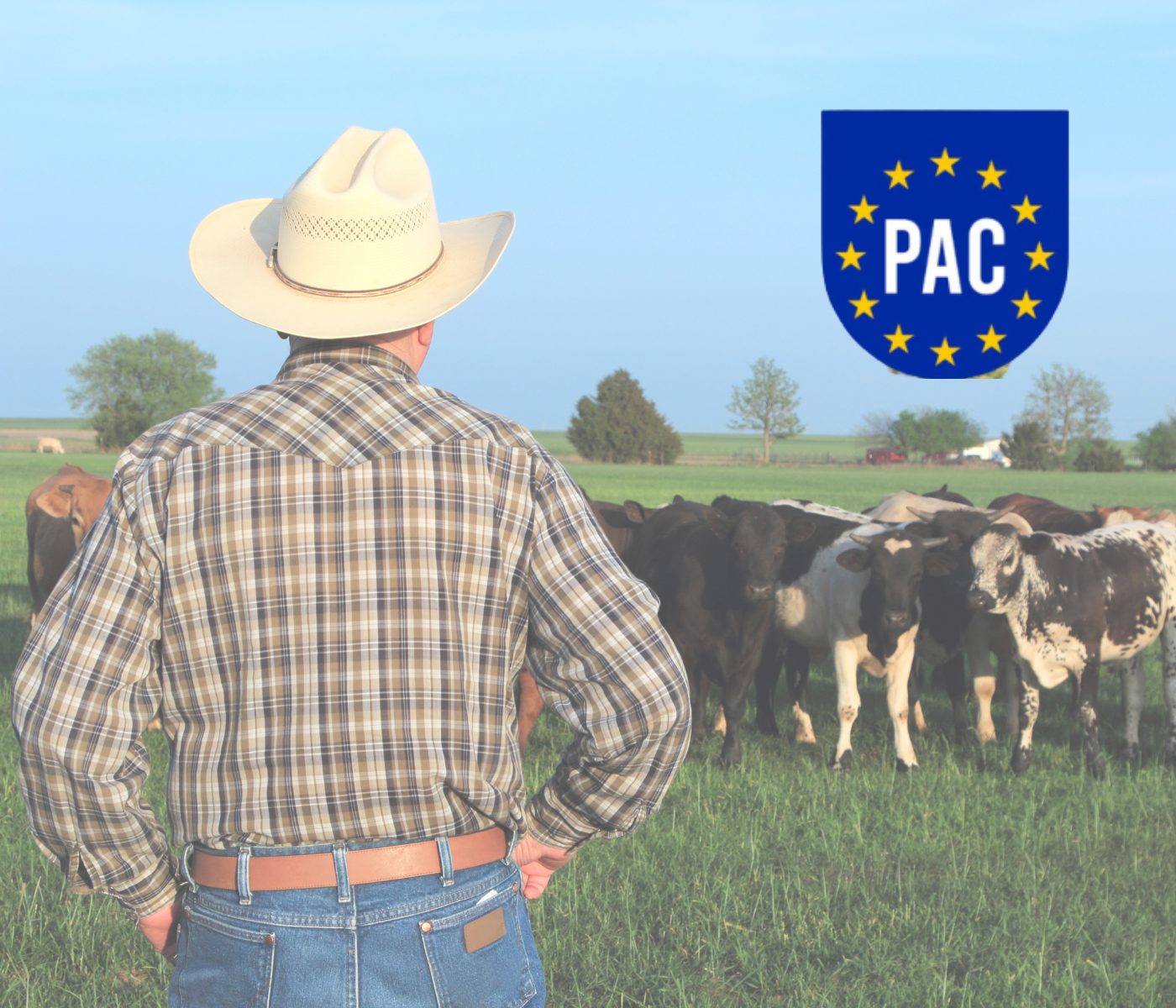 Pedir ayudas PAC será posible hasta el 31 de mayo sin sanción ni penalización