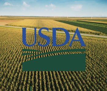 USDAusda