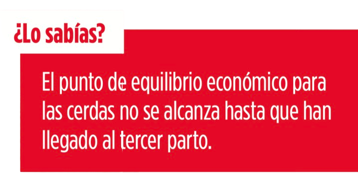 LEVUCELL SB