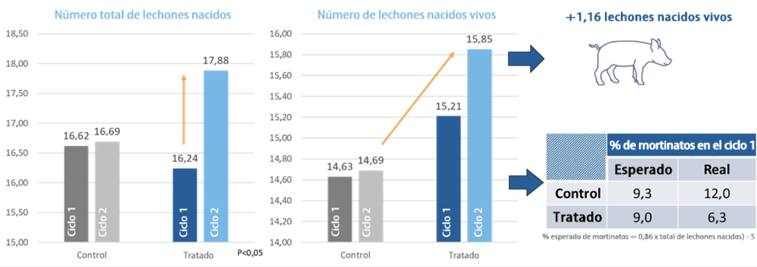 LEVUCELL SB