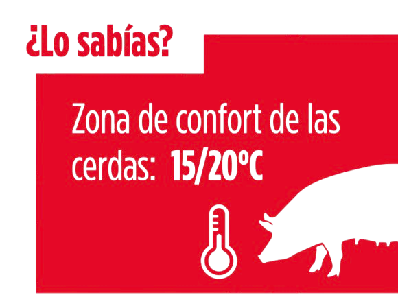 LEVUCELL SB