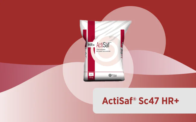 Aditivos