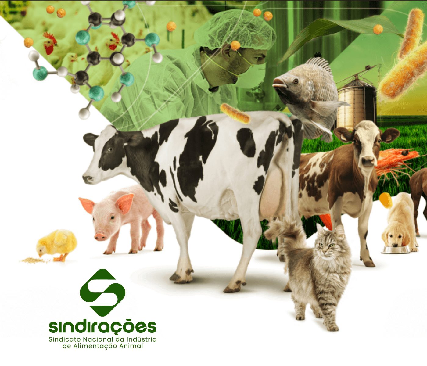 Setor de alimentação animal deve crescer 3% em 2025, diz...